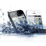 iPhone 5C Water Damage Repair